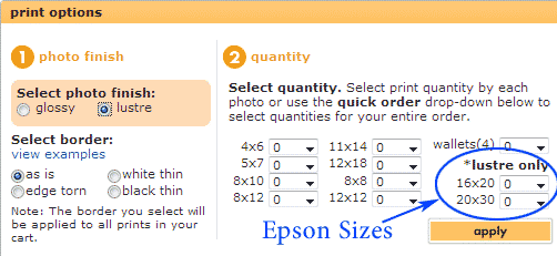 Costco image sizes